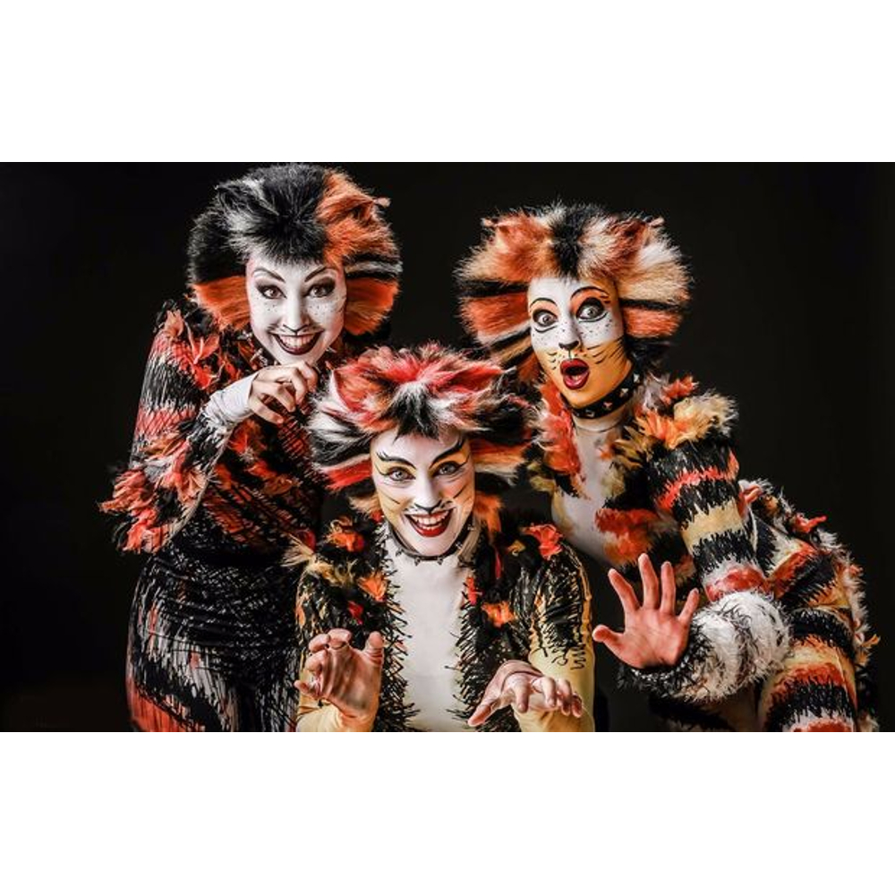 Drei Schauspieler in farbigen Katzenkostümen und Make-up posieren theatralisch auf schwarzem Hintergrund.