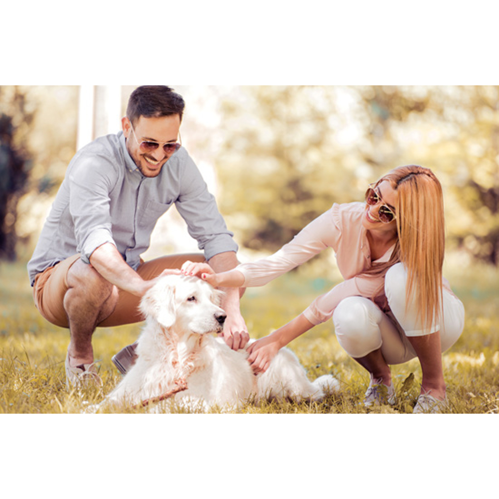 Ein Mann und eine Frau mit Sonnenbrille hocken draußen im Gras und streicheln einen weißen Hund.