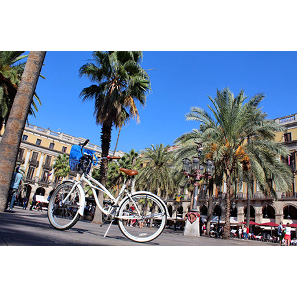 Ein weißes Fahrrad mit Korb steht auf einem sonnigen Platz mit Palmen und historischen Gebäuden unter blauem Himmel.