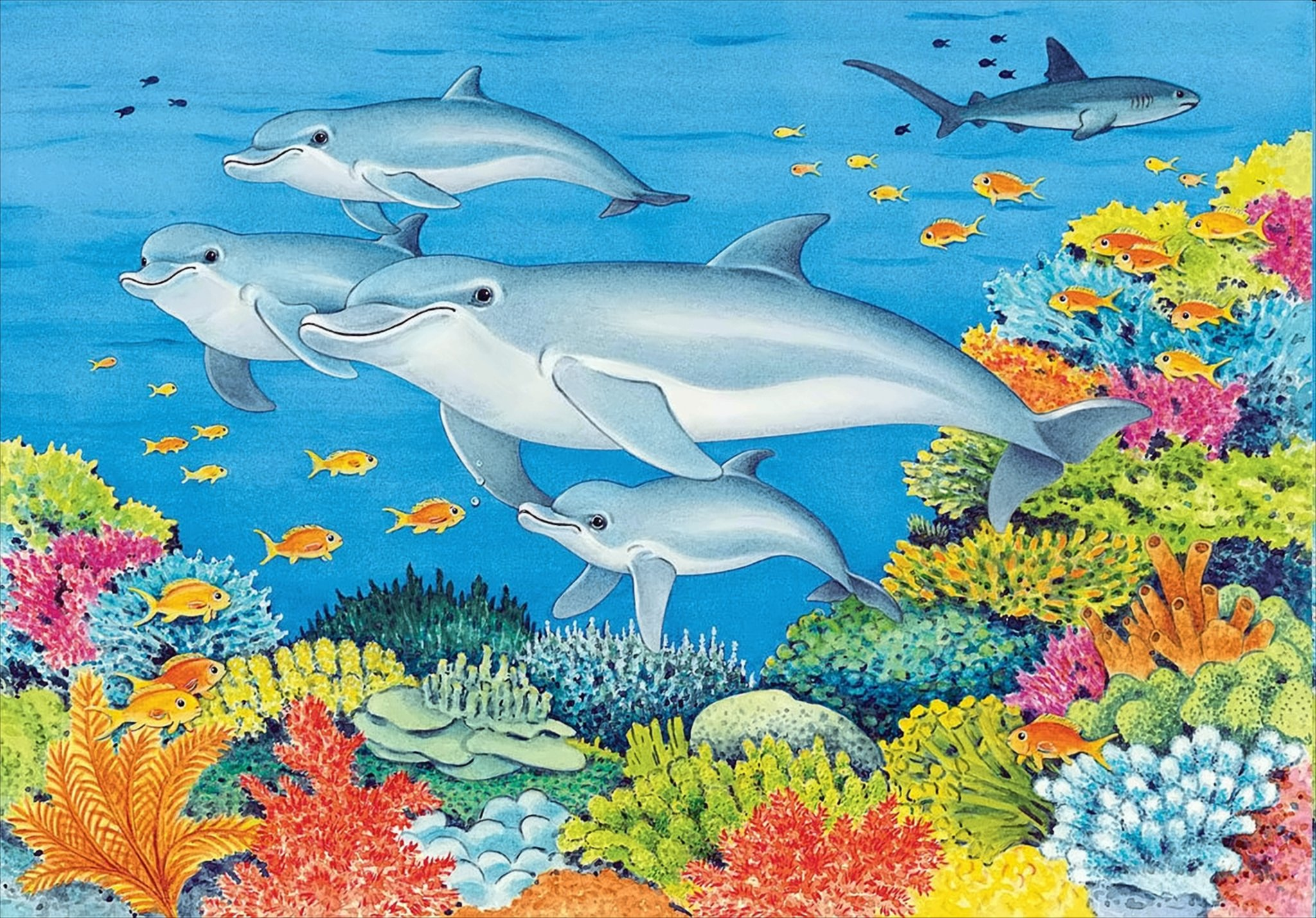 Delfine und ein Haifisch schwimmen über einem bunten Korallenriff im blauen Ozean.