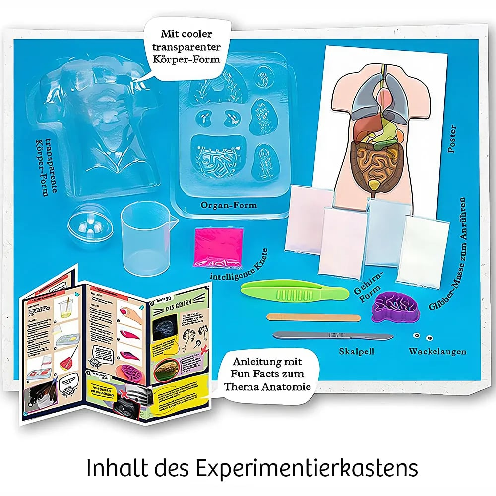 Inhalt eines Anatomie-Experimentierkastens mit Formen, Organposter, Anleitung und Zubehör auf blauem Hintergrund.