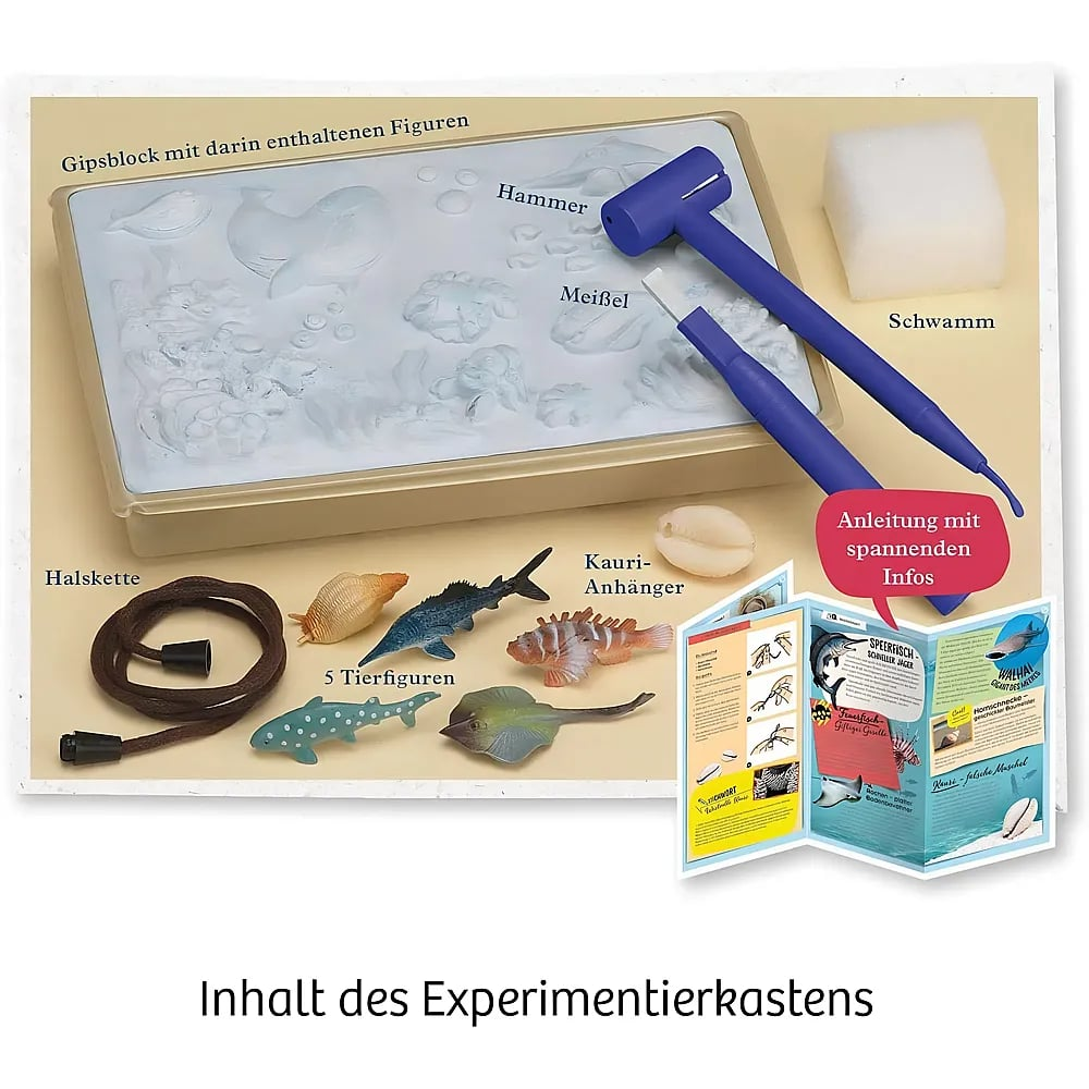 Inhalt des Experimentierkastens mit Gipsblock, Hammer, Meißel, Schwamm, Tierfiguren, Kette und Anleitung.
