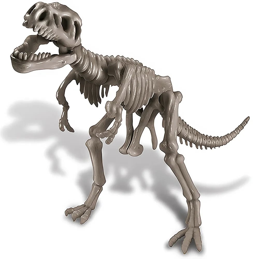 4M Fun Science Scava Un Fossile T-Rex Lernspielzeuge, X | MediaMarkt