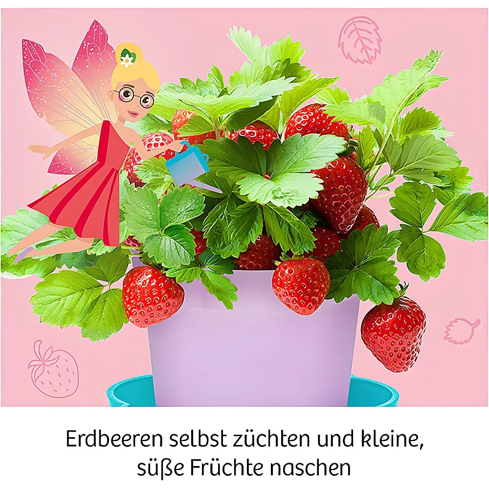 Una piccola fata con ali rosa annaffia una pianta di fragole in un vaso viola.