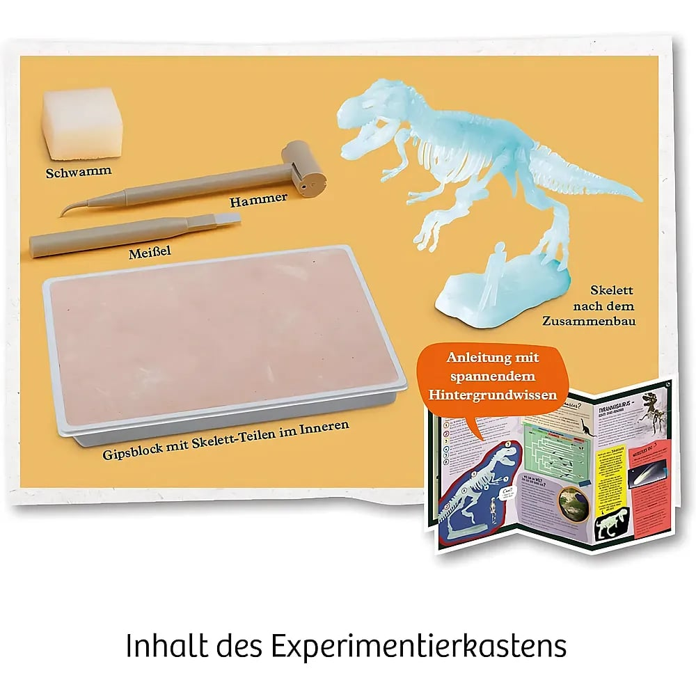 Inhalt eines Dinosaurier-Ausgrabungssets mit Gipsblock, Werkzeugen, Skelett und Anleitung auf gelbem Hintergrund.
