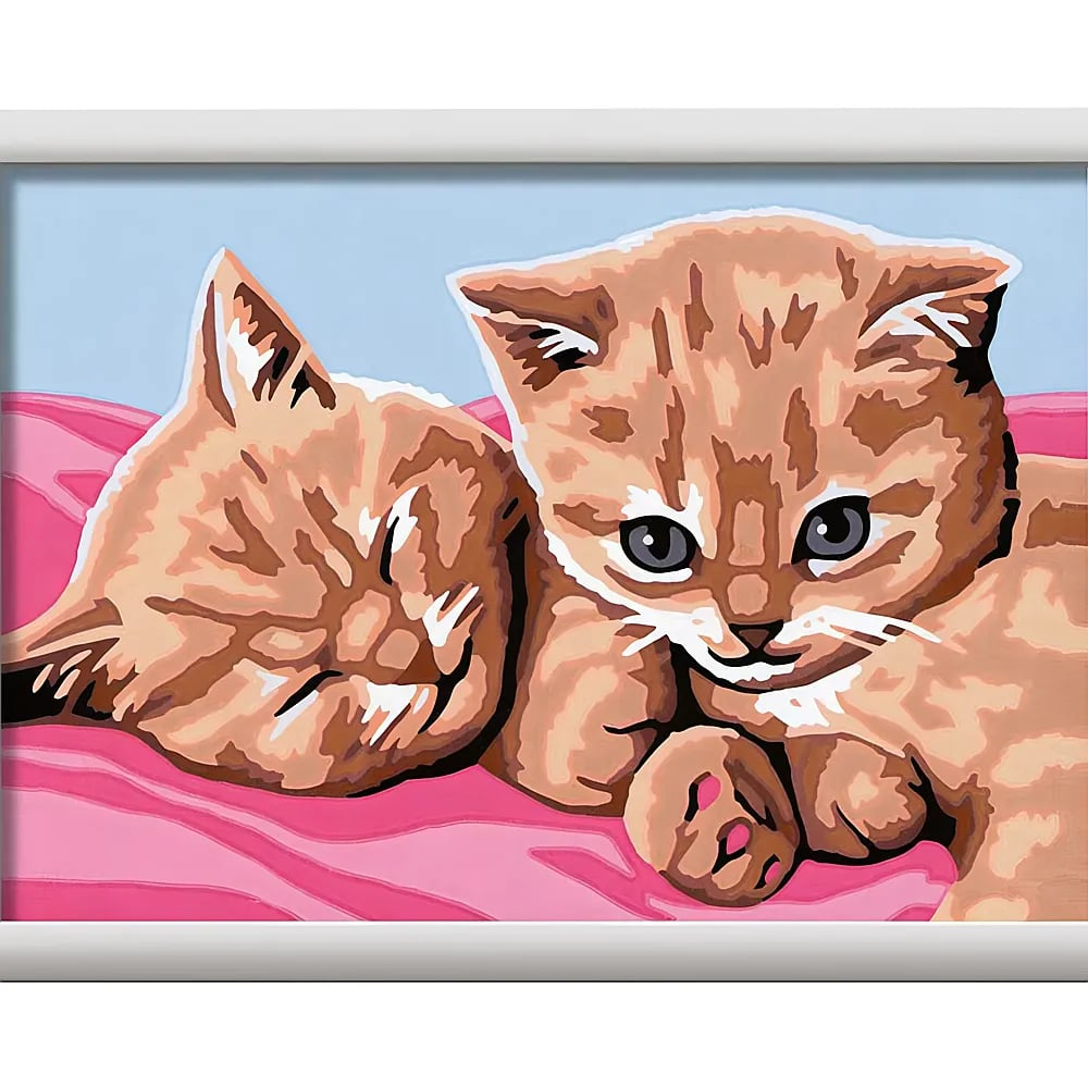 Dos gatitos naranjas descansando en una manta rosa dentro de un marco blanco.