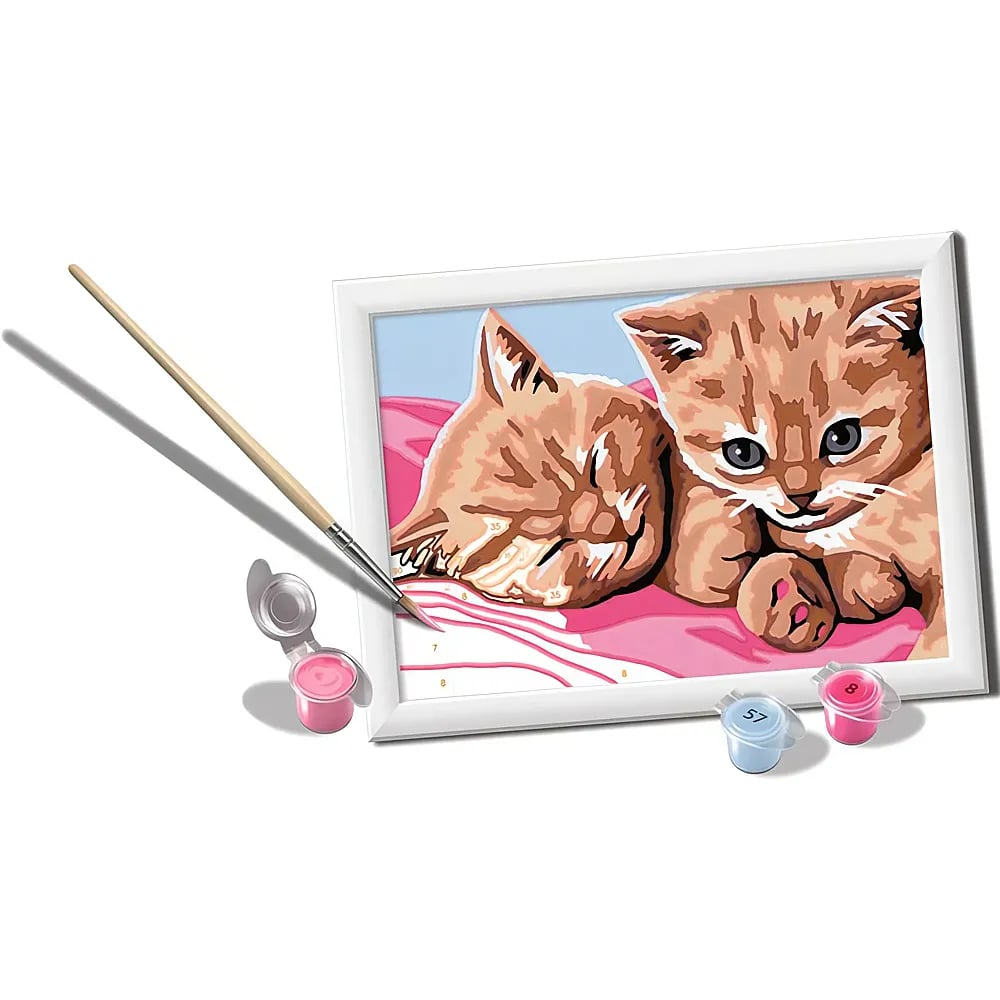 Un juego de pintura por números muestra dos gatitos naranjas en una manta rosa, con pincel y botes de pintura.