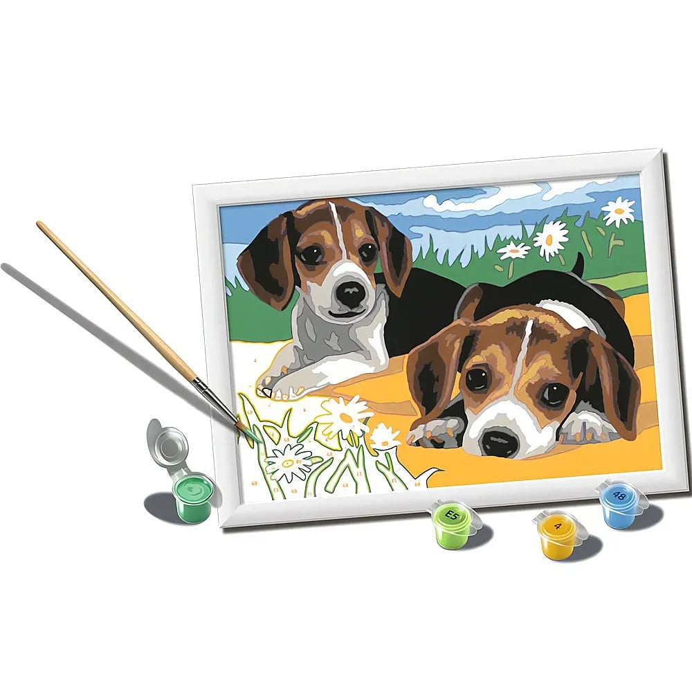Un lienzo para pintar por números muestra dos cachorros de beagle en un campo, con un pincel y botes de pintura.