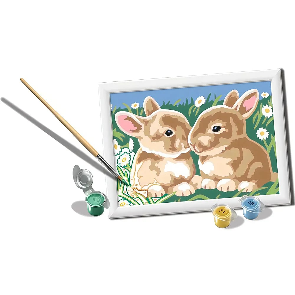 Un kit de pintura por números con dos conejos en la hierba, un pincel y pequeños tarros de pintura sobre fondo blanco.