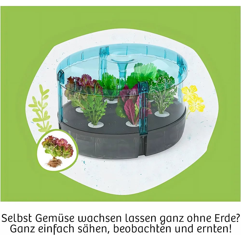 Ein runder, blauer Hydrokultur-Garten auf grünem Hintergrund mit wachsendem Salat und einem German Text unten.