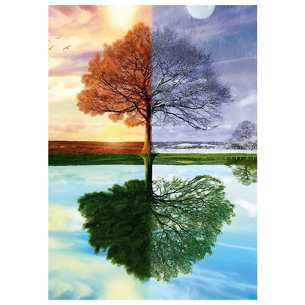 Ein Baum zeigt vier Jahreszeiten in vier unterschiedlichen Abschnitten.
