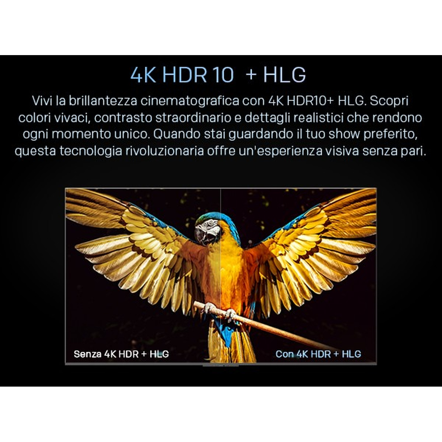 Un loro colorido en pantalla muestra la comparación de calidad de 4K HDR 10 + HLG.