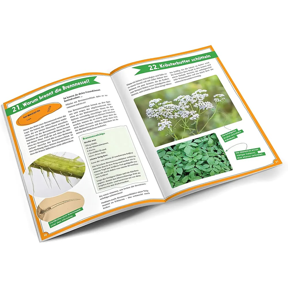 Un livre ouvert sur fond blanc avec du texte et des images sur les herbes et les orties.