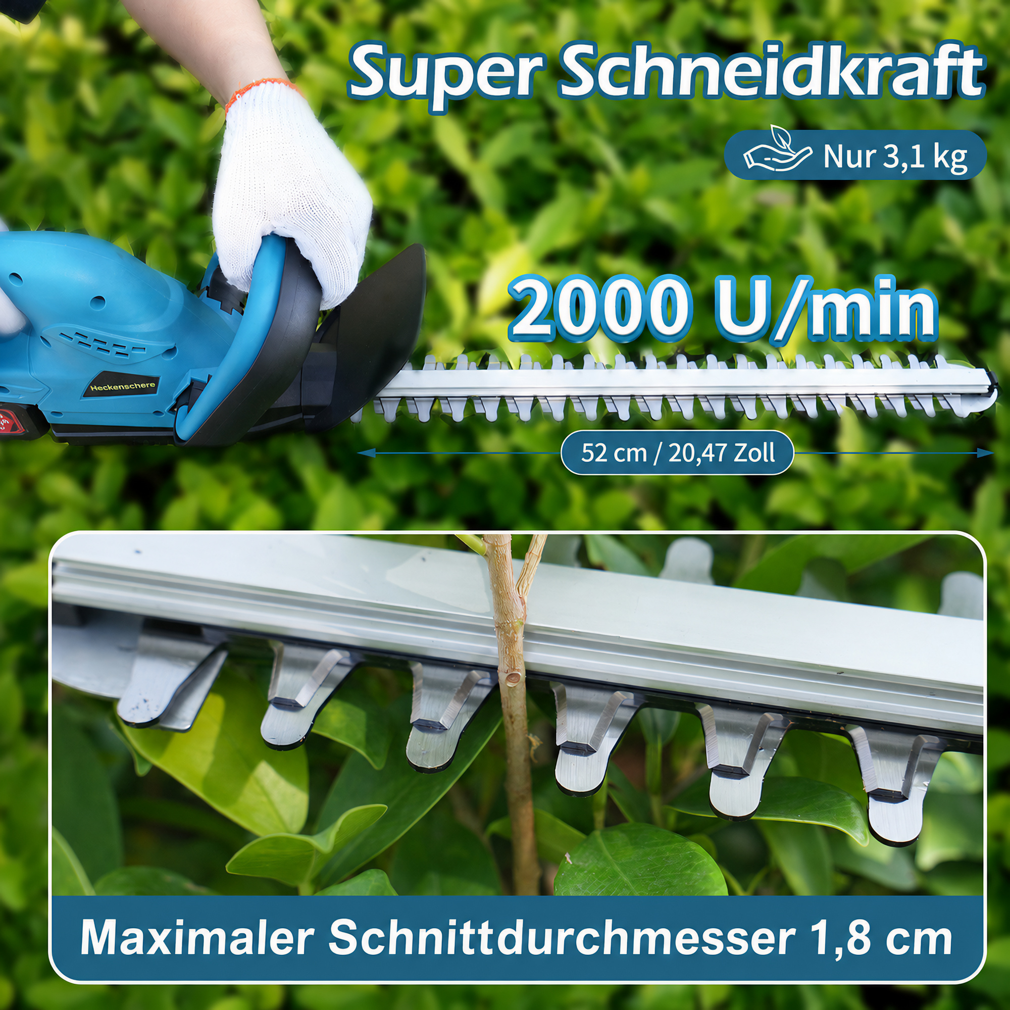 Blaue Heckenschere schneidet eine Hecke, mit technischen Angaben wie 52 cm Länge und 1,8 cm Schnittdurchmesser.