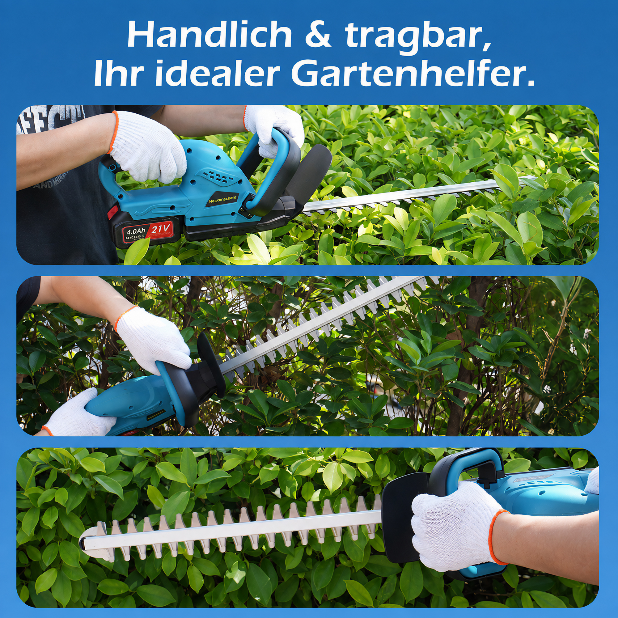 Eine Person mit weißen Handschuhen benutzt eine blaue Heckenschere, um grüne Büsche zu schneiden.