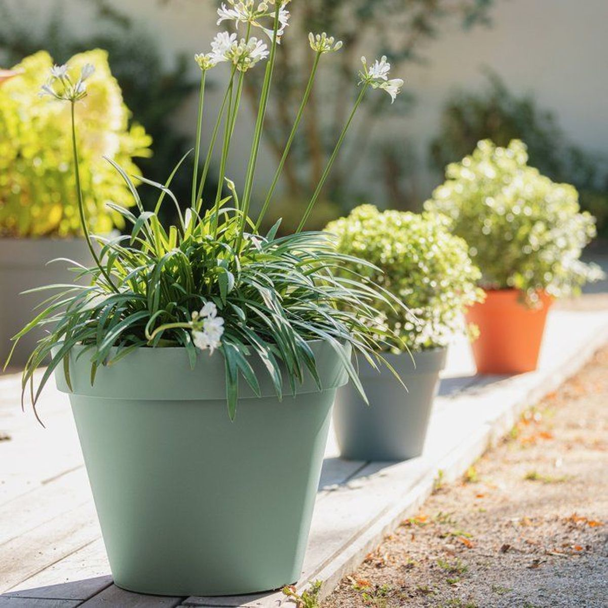 Grüner Pflanzkübel mit weißen Blüten im Vordergrund, flankiert von weiteren Töpfen auf einer Terrasse.