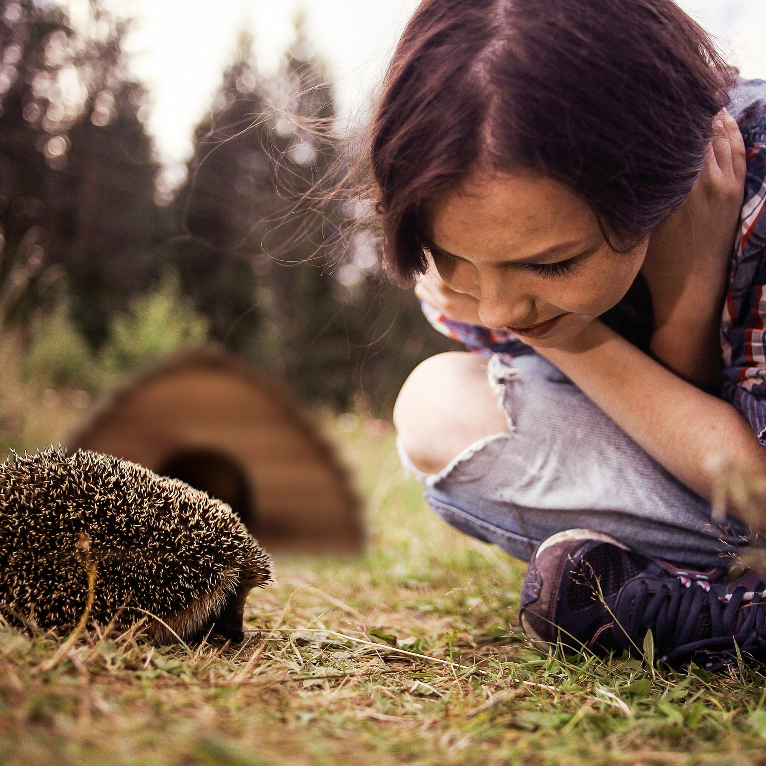 Eine junge Frau im Karohemd hockt draußen und lächelt auf einen Igel im Gras neben einer Holzhütte herab.