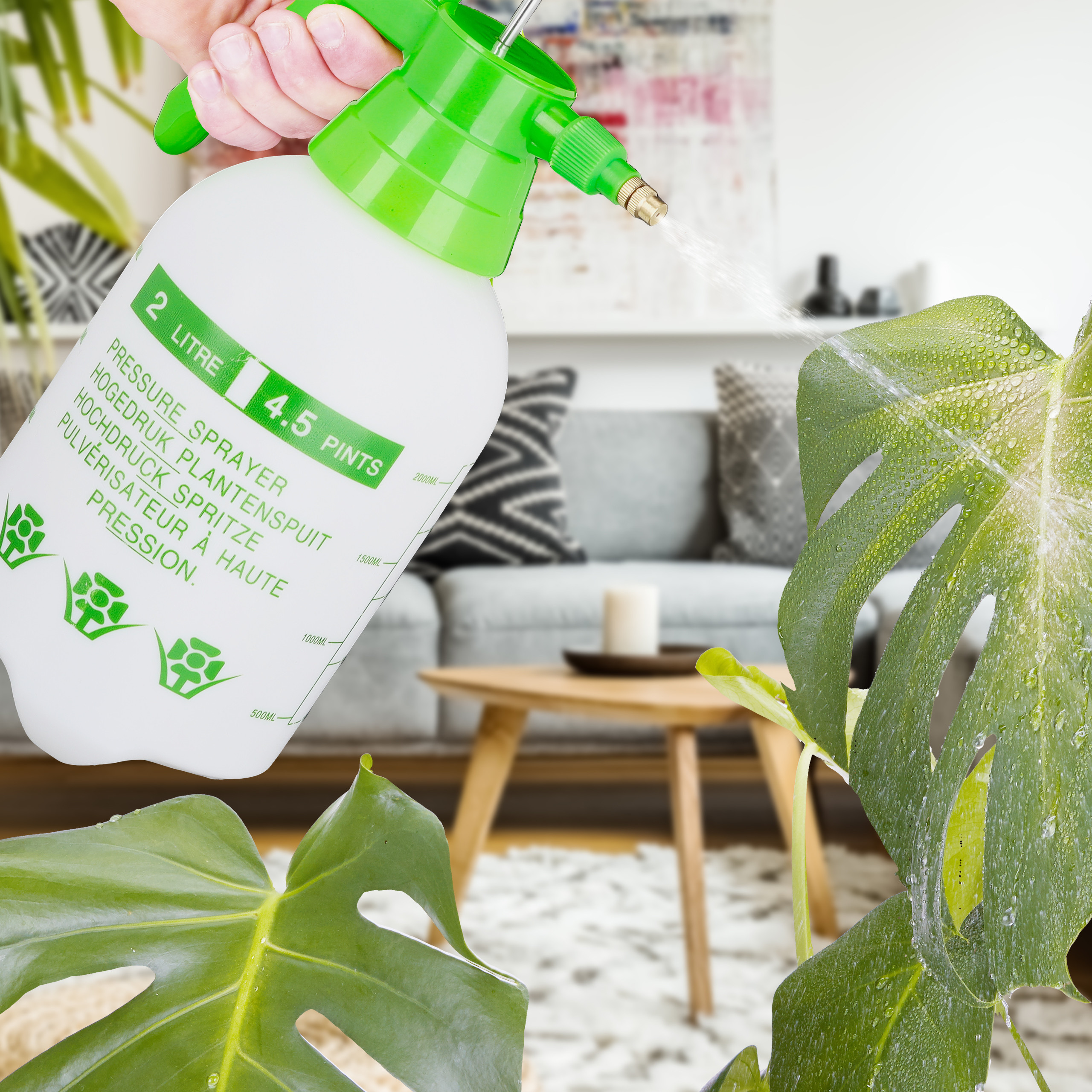 Eine Hand sprüht Wasser mit einer weißen und grünen Drucksprühflasche auf eine Monstera-Pflanze im Wohnzimmer.