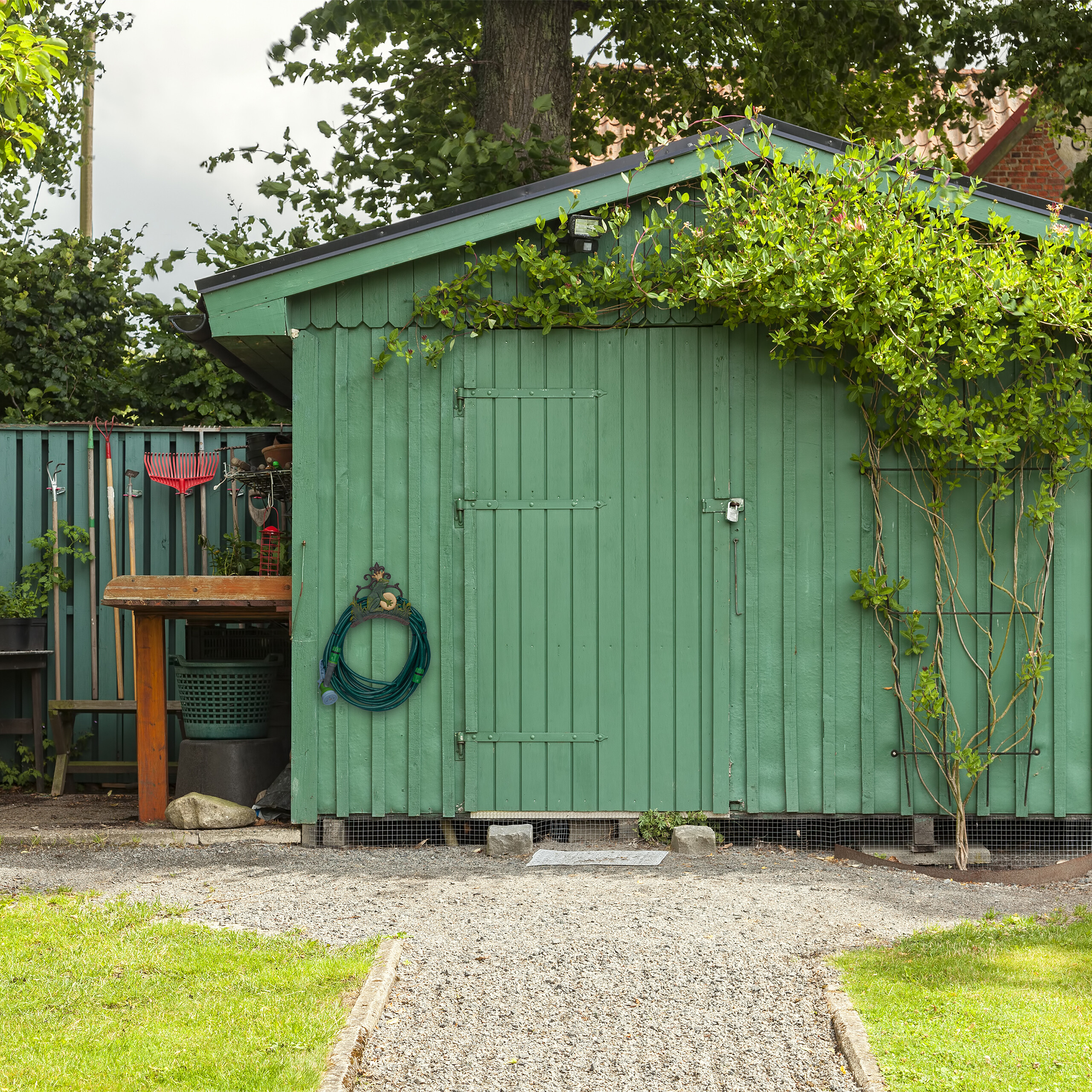 Ein grüner Schuppen mit Kletterpflanzen, Gartengeräten und einem Kiesweg davor.