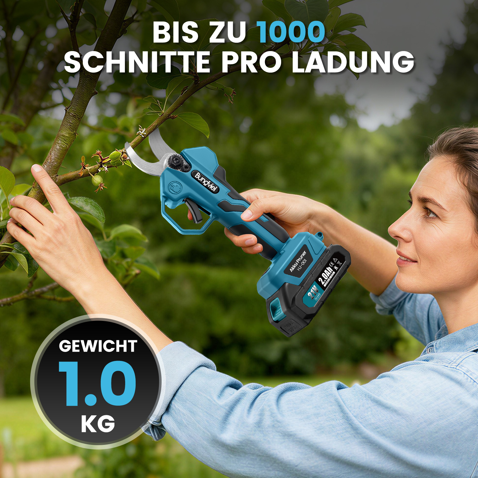 Eine Frau schneidet mit einer blauen Akku-Gartenschere Zweige an einem Baum.