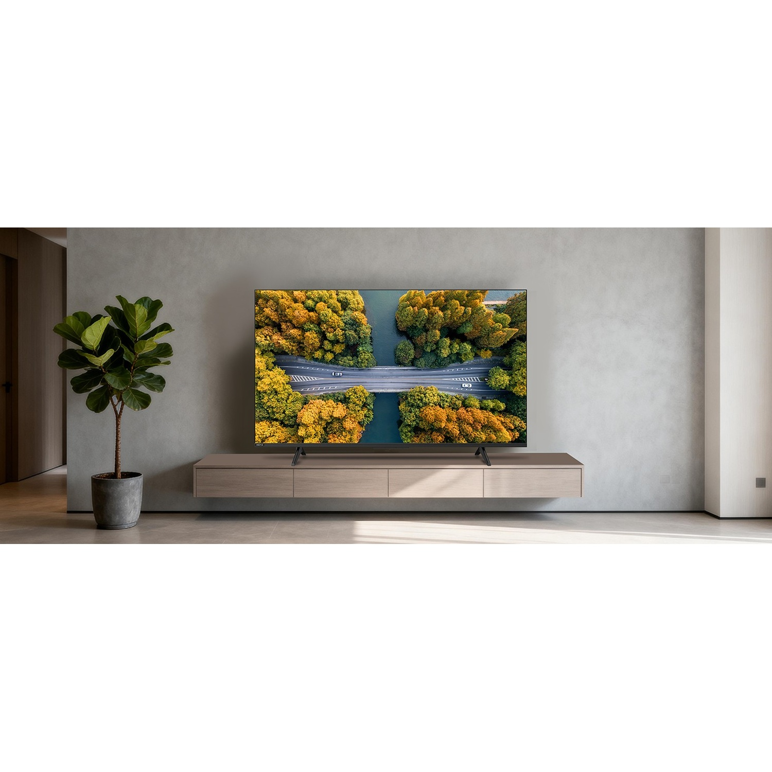 Una TV su un mobile in legno contro una parete grigia, con una pianta a sinistra.