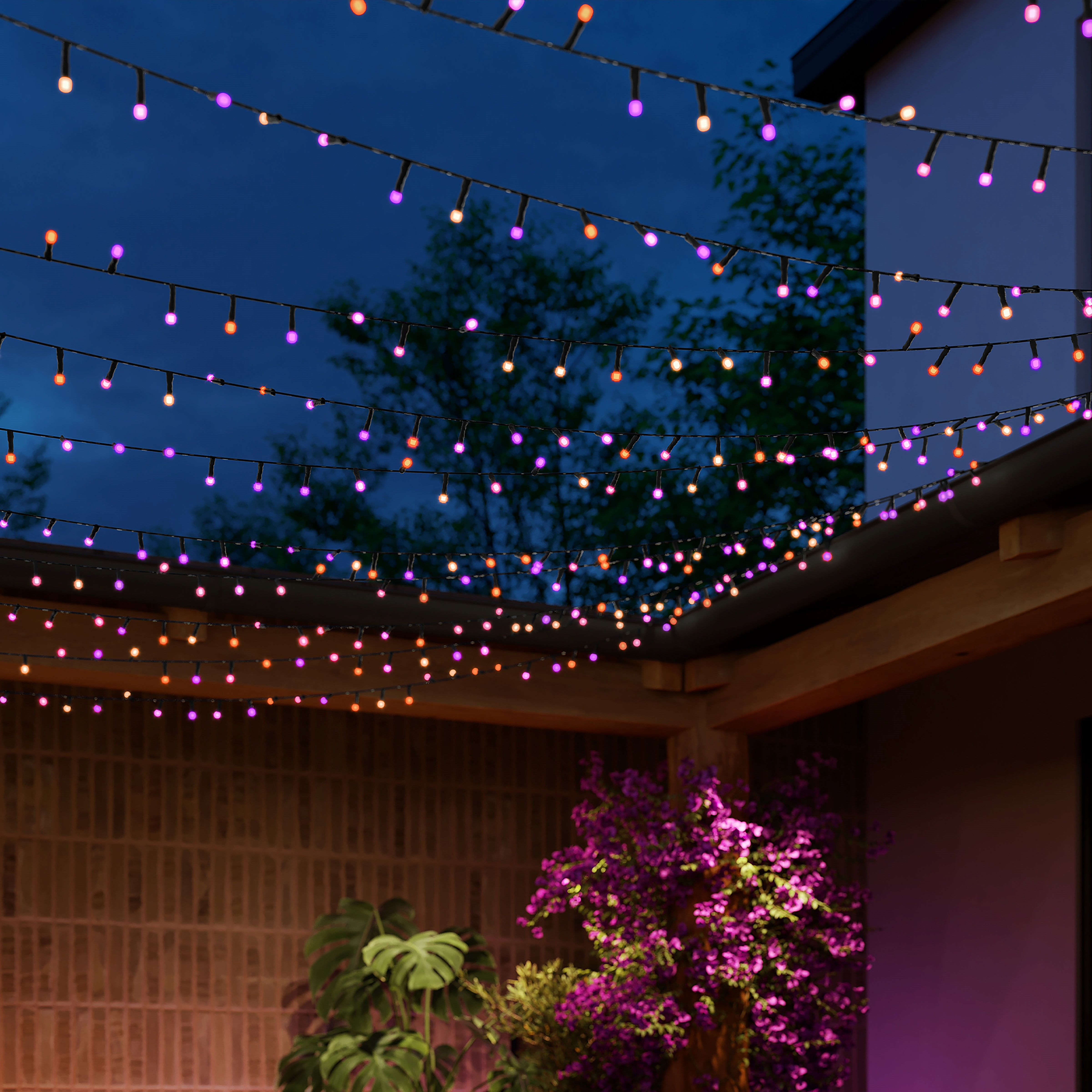 Lichterketten mit orangen und violetten LED-Leuchten hängen bei Nacht über einem patio mit Pflanzen.