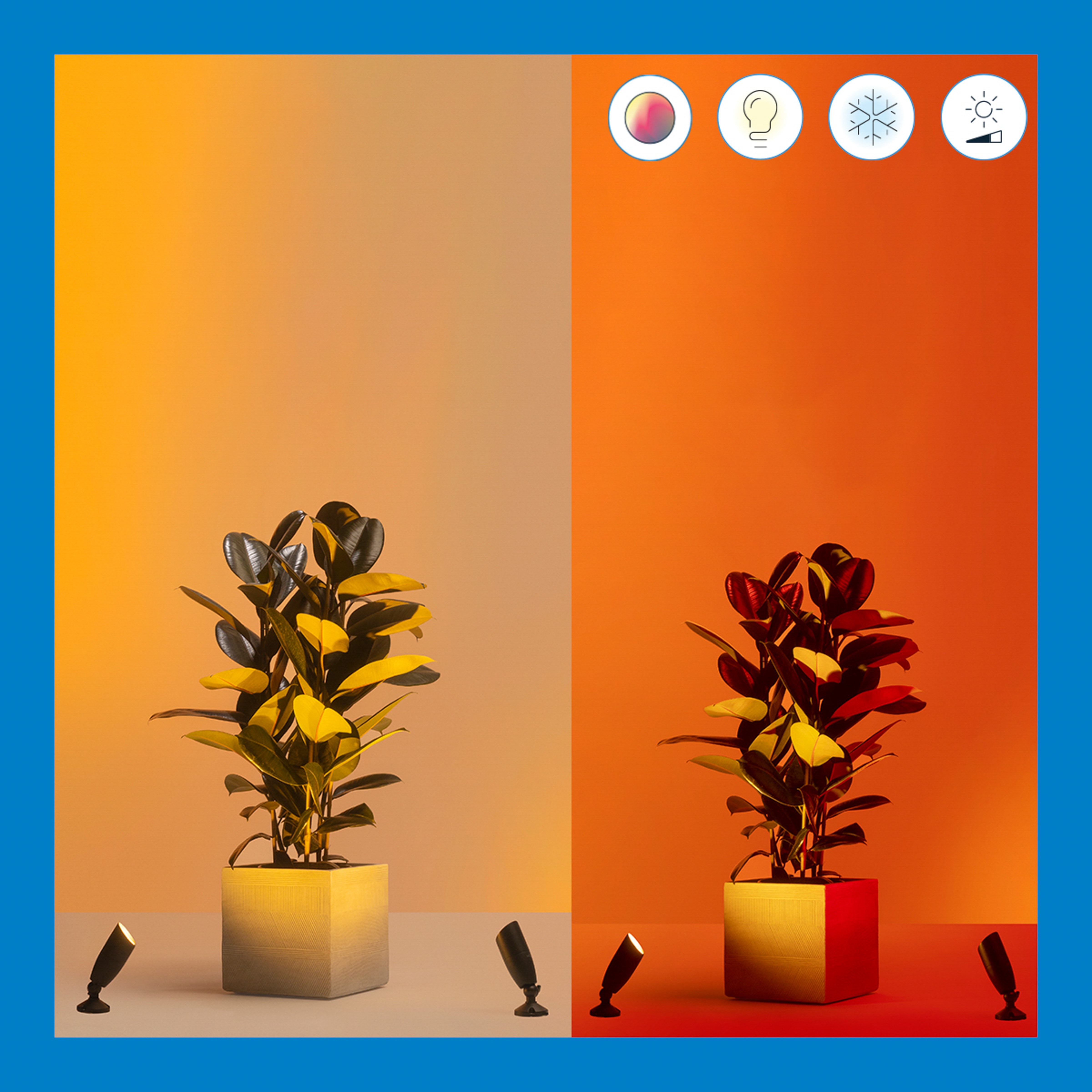 Vergleich zweier geteilter Bilder mit einer Zimmerpflanze in einem Topf vor orangefarbenem Hintergrund mit vier Lichtersymbolen.