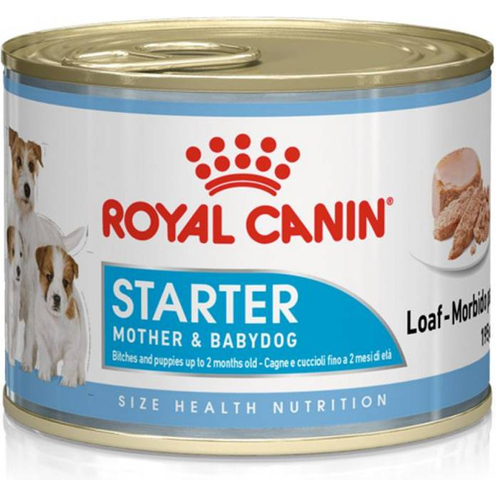 Puszka karmy dla psów Royal Canin Starter ze szczeniakami i czerwonym logo.