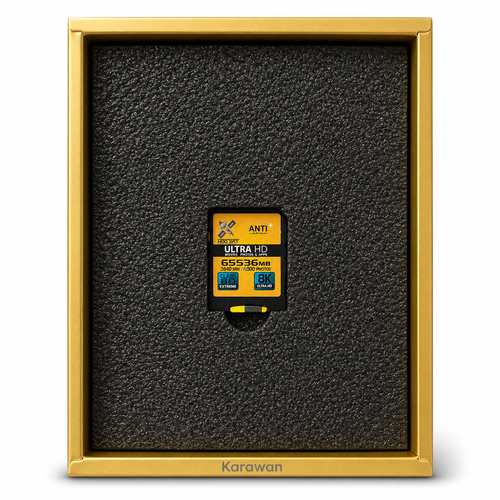 Una tarjeta de memoria SD amarilla con texto negro descansa de forma segura en un inserto de espuma negra con borde dorado.