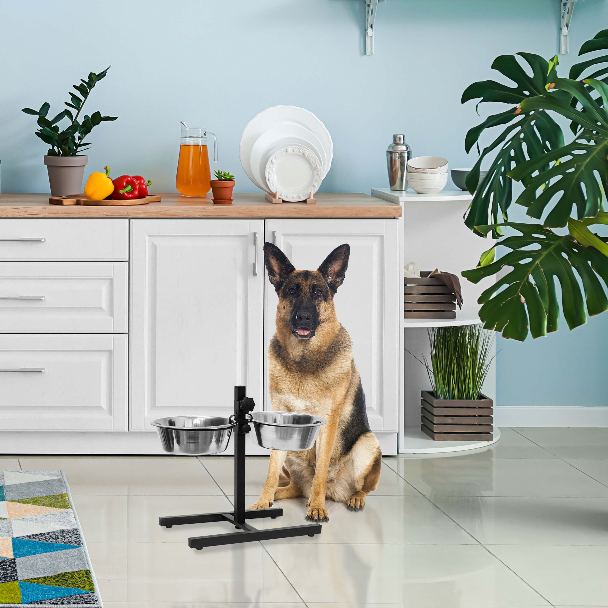 Ein deutscher Schäferhund sitzt in einer Küche neben zwei Futternäpfen auf einem Ständer.