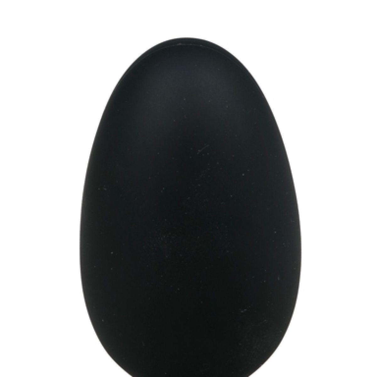Ein glattes, mattes schwarzes Ei auf einem rein weißen Hintergrund.