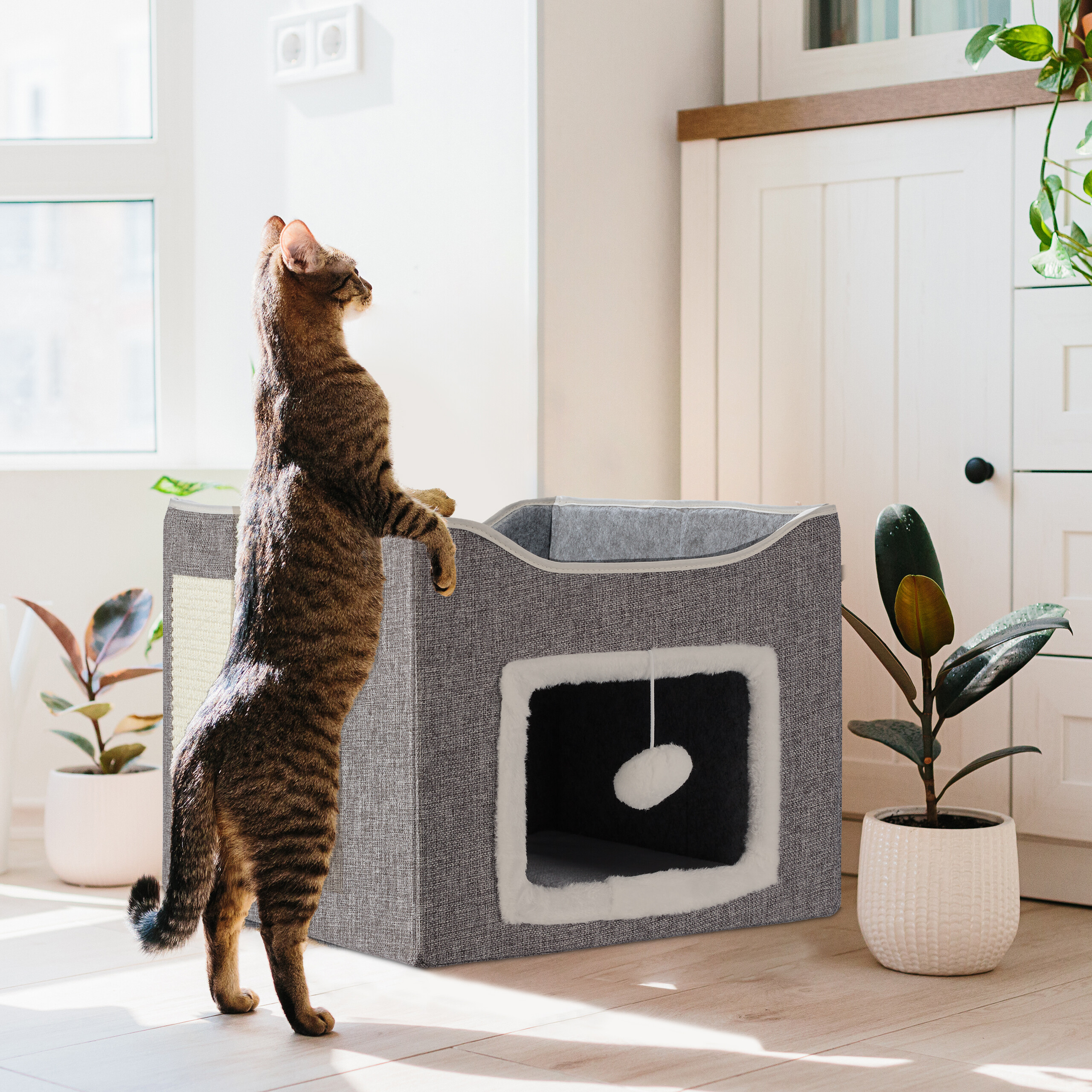 Eine getigerte Katze steht auf den Hinterbeinen und schaut auf ein graues Katzenhaus mit Kratzbaum und Hängeball.