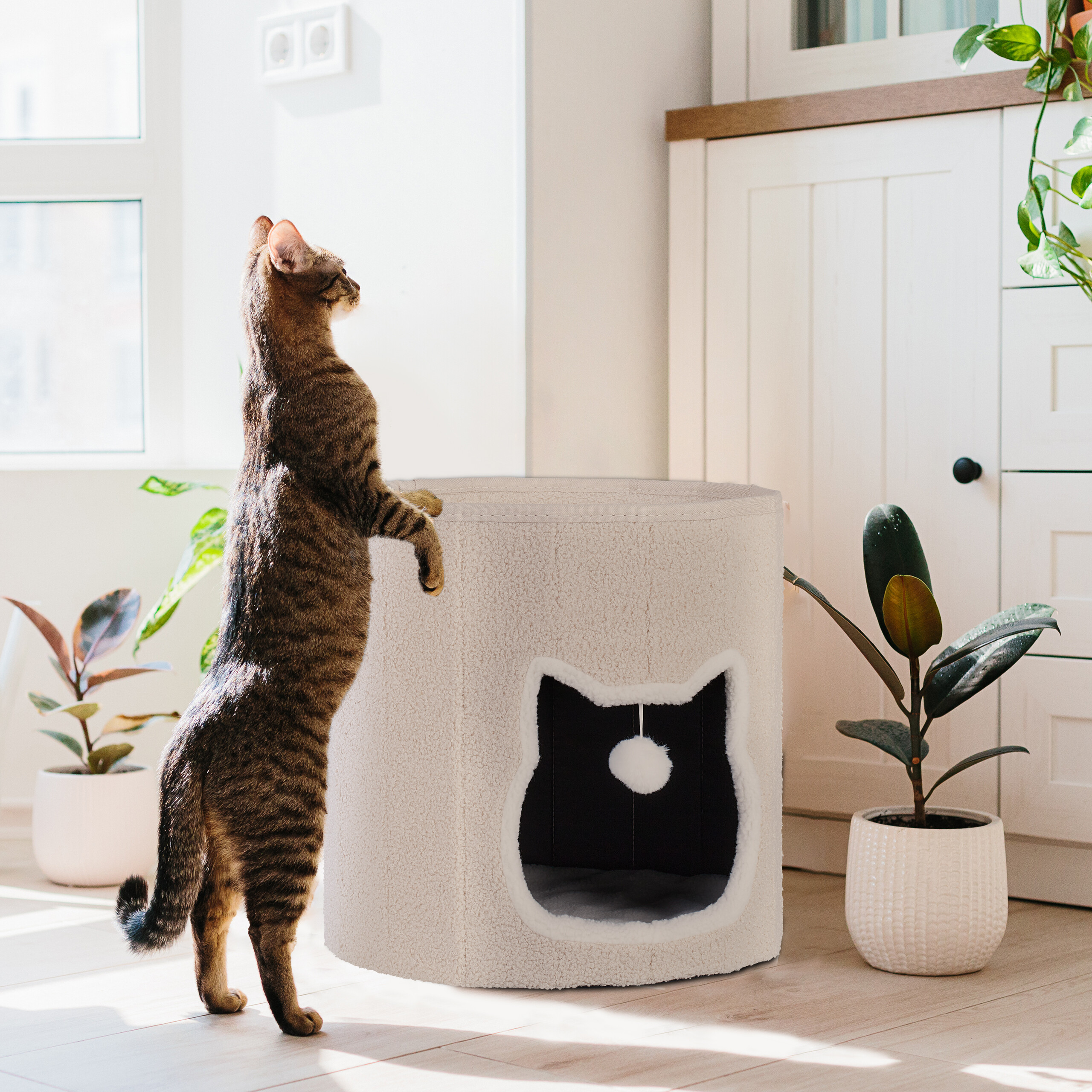 Eine Tigerkatze steht auf den Hinterbeinen und berührt ein weißes, zylindrisches Katzenhaus mit katzenförmiger Tür.