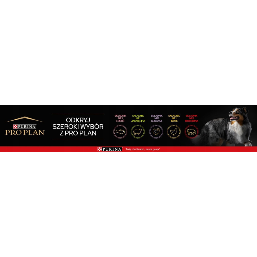 Baner Purina Pro Plan z psem, tekstem i ikonami smaków karm.