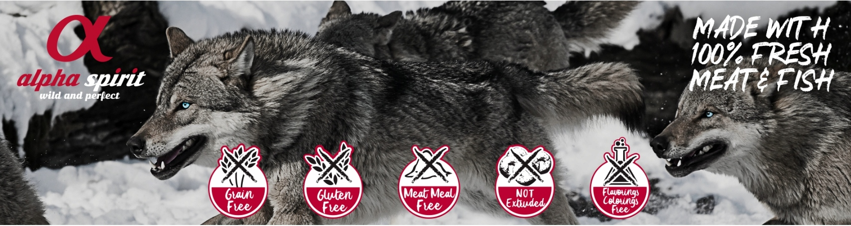 Wilki na śniegu z logo Alpha Spirit i tekstem o świeżym mięsie i rybach.
