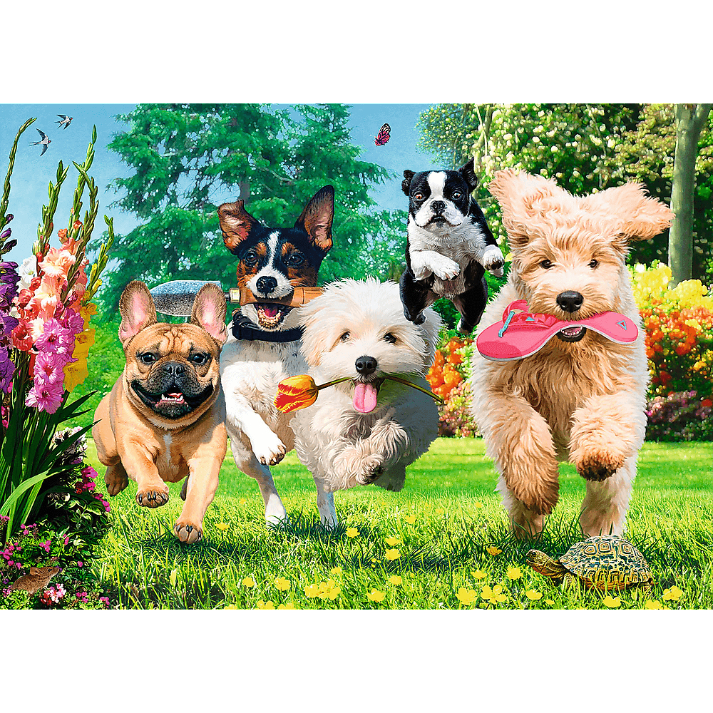 Fünf Hunde laufen fröhlich über einen sonnigen Rasen mit Blumen und tragen Gegenstände.