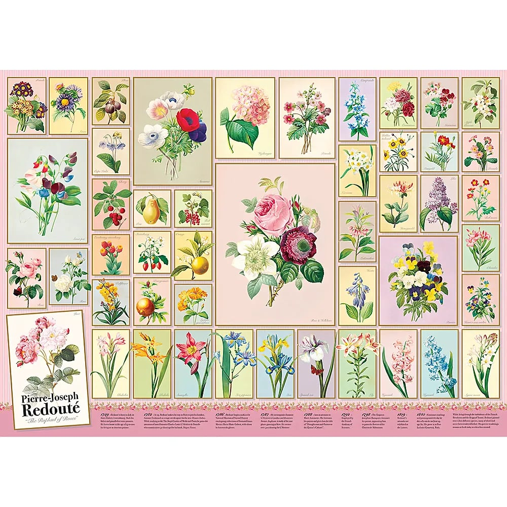 Eine Plakette mit verschiedenen botanischen Illustrationen von Blumen und Früchten von Pierre-Joseph Redouté.