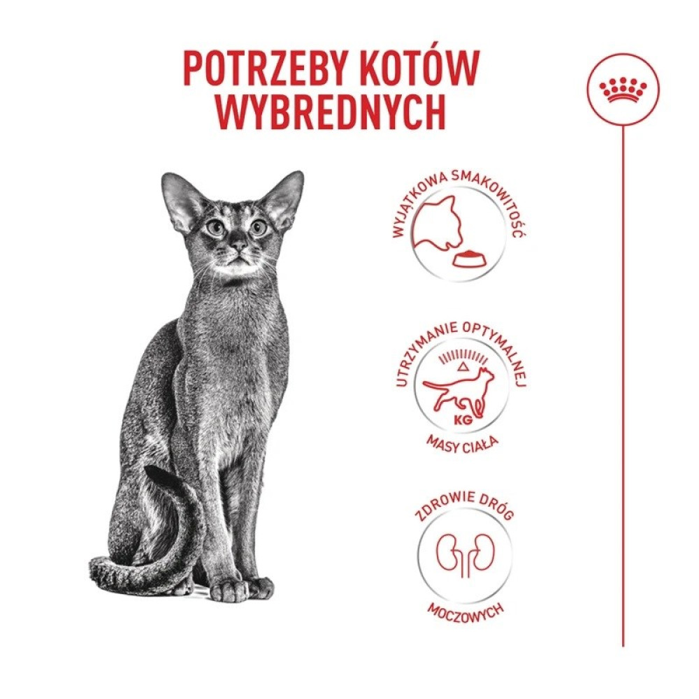 Grafika przedstawiająca siedzącego kota oraz trzy okrągłe ikony z tekstem na białym tle.