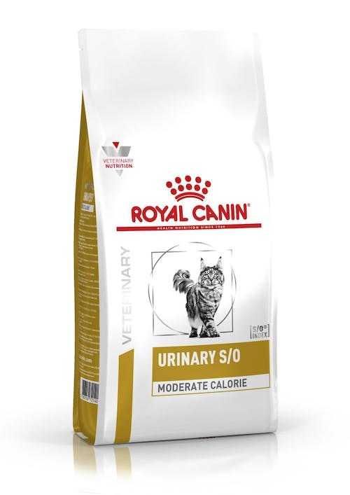 Biała torba karmy dla kotów Royal Canin Urinary S/O z czerwonym logo i szarym kotem.