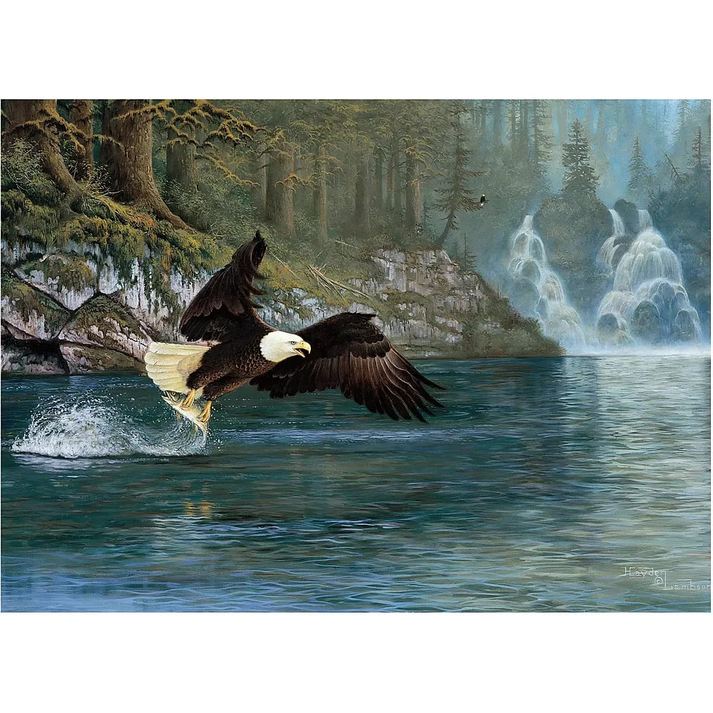 Ein Weißkopfseeadler fängt einen Fisch aus einem Fluss, mit Wasserfällen und einem Wald im Hintergrund.