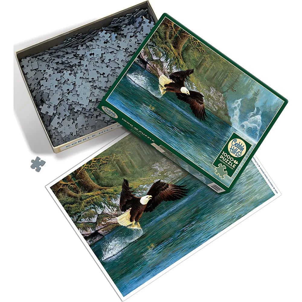 Ein offenes Puzzle-Set mit einem offenen Karton voller Puzzleteile und einem Bild von einem Adler über einem Fluss.