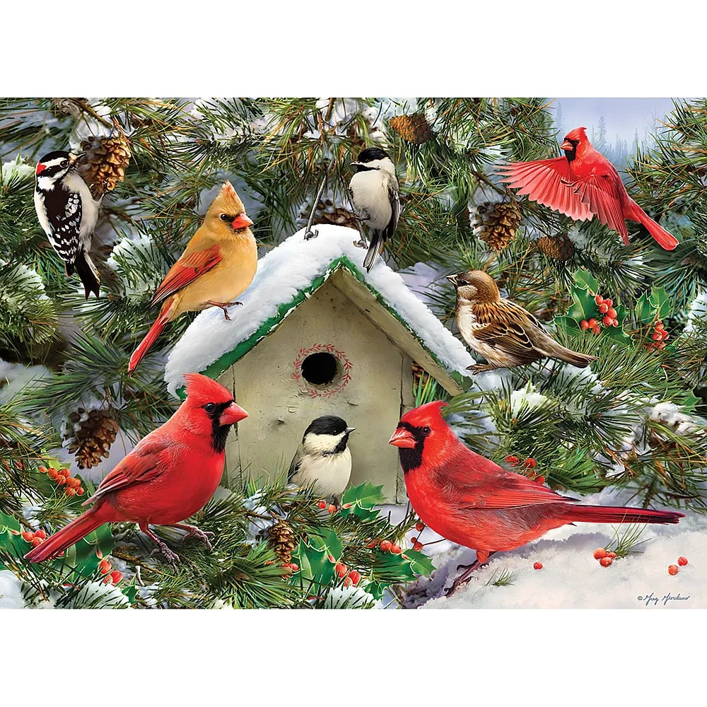 Mehrere bunte Vögel versammeln sich um ein verschneites Vogelhaus inmitten von Tannenzweigen und roten Beeren.