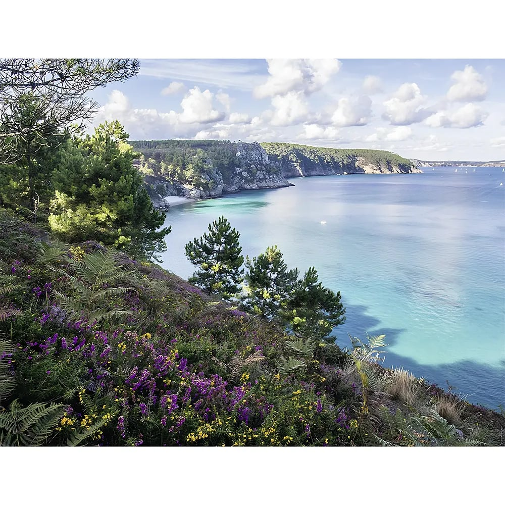 Blick von einer Klippe mit lila Blumen undgrünen Bäumen auf eine ruhige Bucht mit blauem Wasser unter bewölktem Himmel.