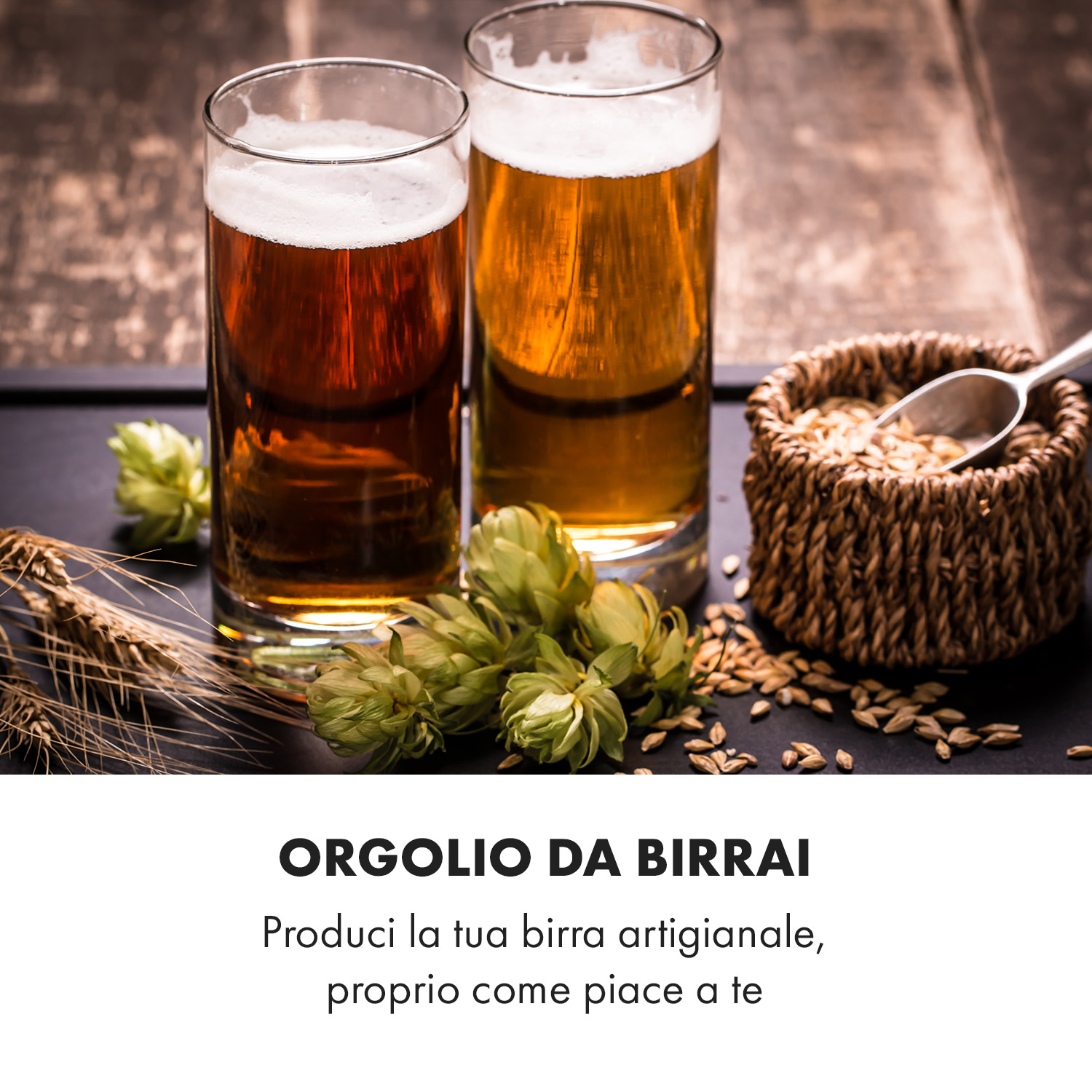 Zwei Gläser Bier, Hopfen und Weizenkörner auf einem Holztisch mit italienischem Text.