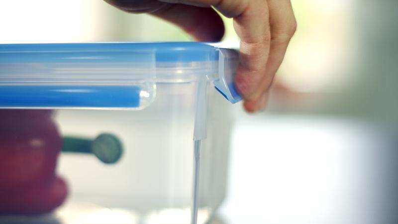 Eine Hand öffnet einen durchsichtigen Plastikbehälter mit blauem Deckel.