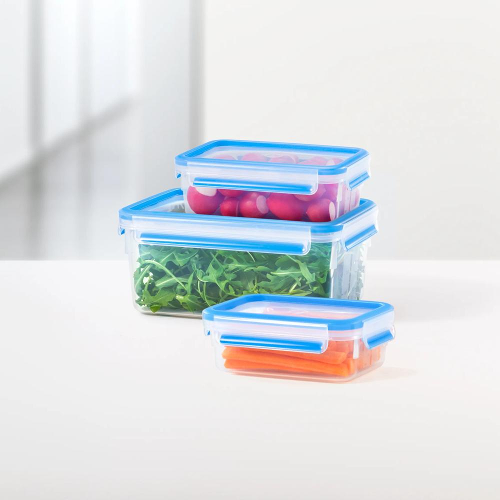 Drei durchsichtige Frischhalteboxen mit blauen Deckeln stehen auf einem Tisch, gefüllt mit Radieschen, Salat und Karotten.