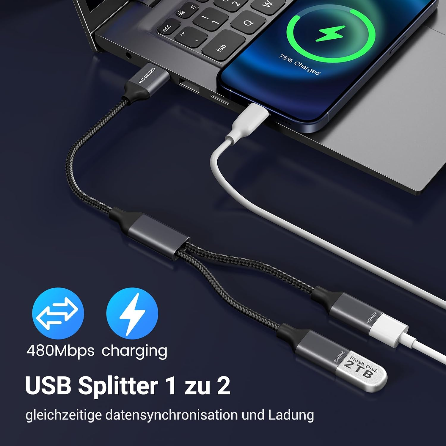 USB-C-Splitter verbunden mit Laptop, einem 2TB USB-Stick und einem Smartphone.