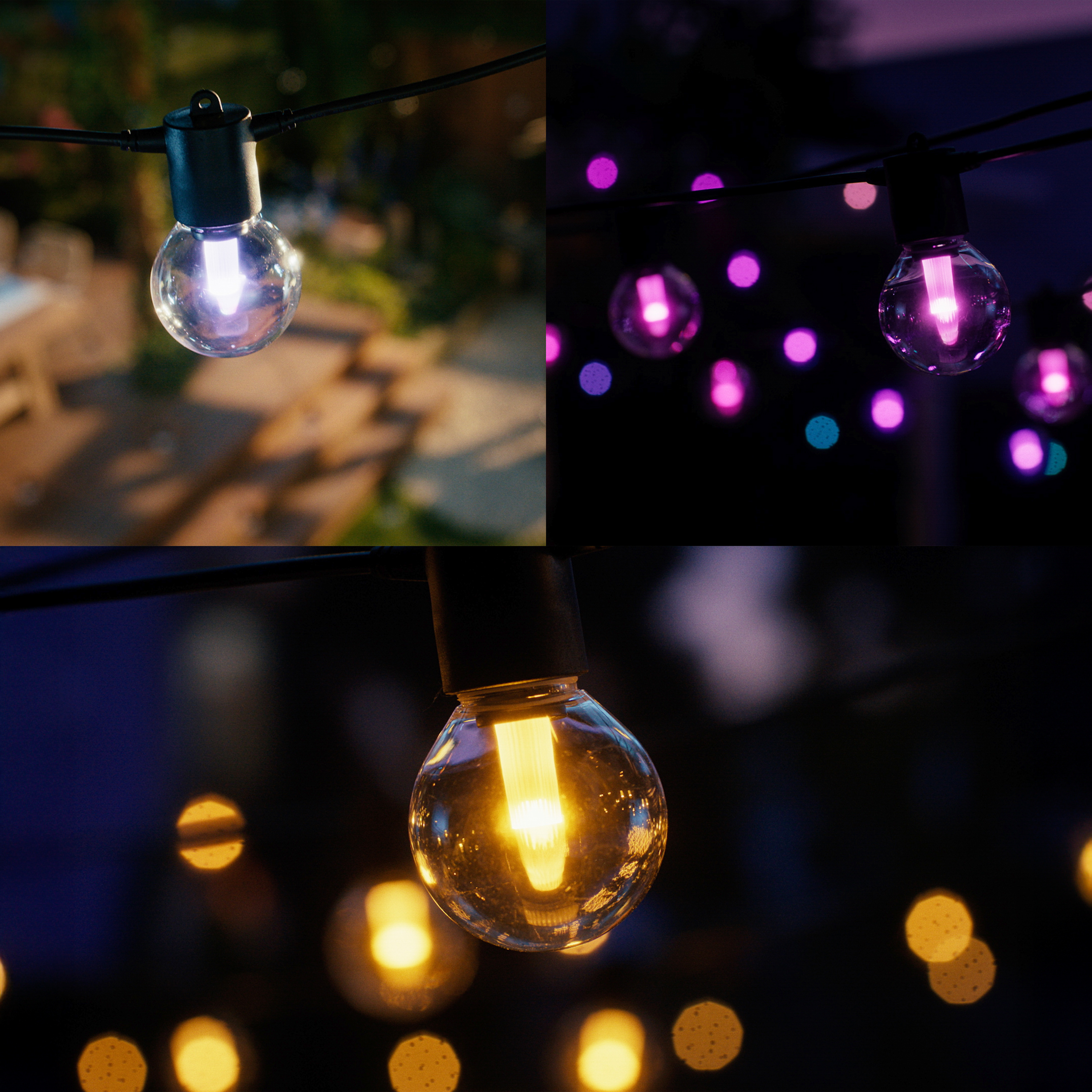 Le luci a corda con lampadine rotonde brillano in vari colori, illuminando lo sfondo scuro.