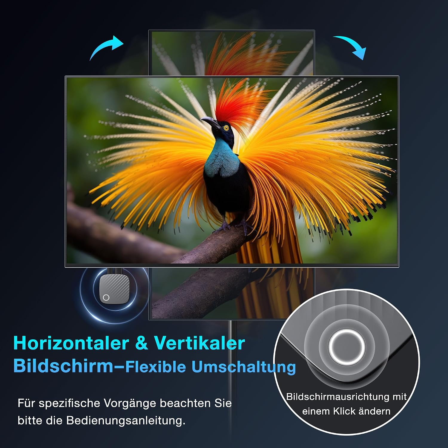 Ein Bildschirm zeigt einen bunten Vogel auf einem Ast mit grafischen Hinweisen für horizontales und vertikales Drehen.