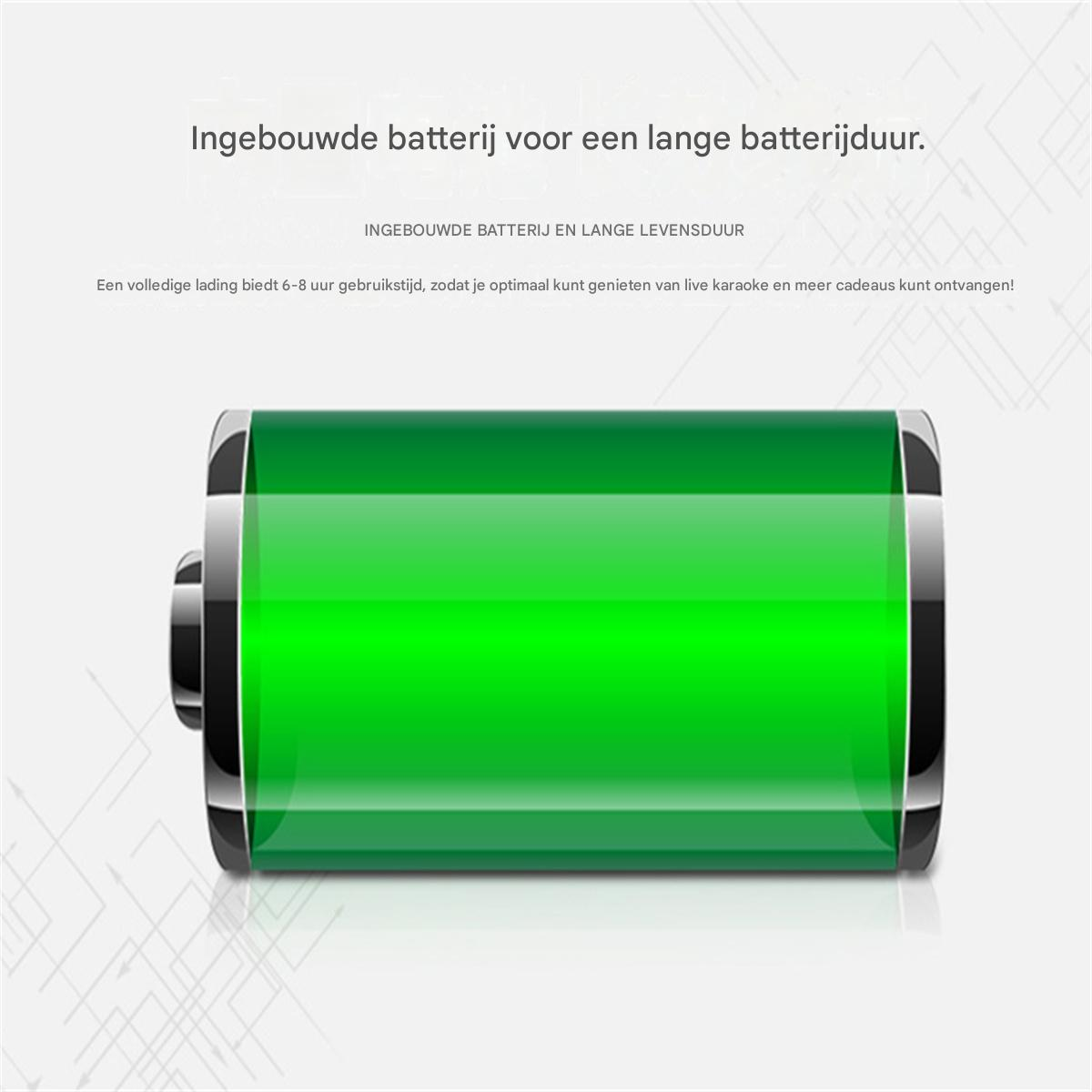 Eine grüne Batterie mit Text auf hellgrauem Hintergrund.